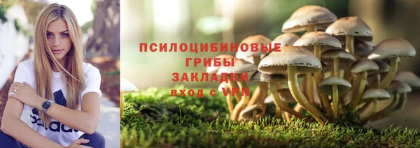 дмт Алексеевка
