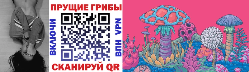 Псилоцибиновые грибы мицелий Абинск